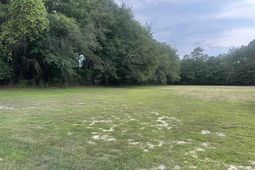 8 Pine Top Road  photo 4