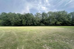 8 Pine Top Road  photo 4