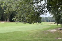 8 Pine Top Road  photo 4