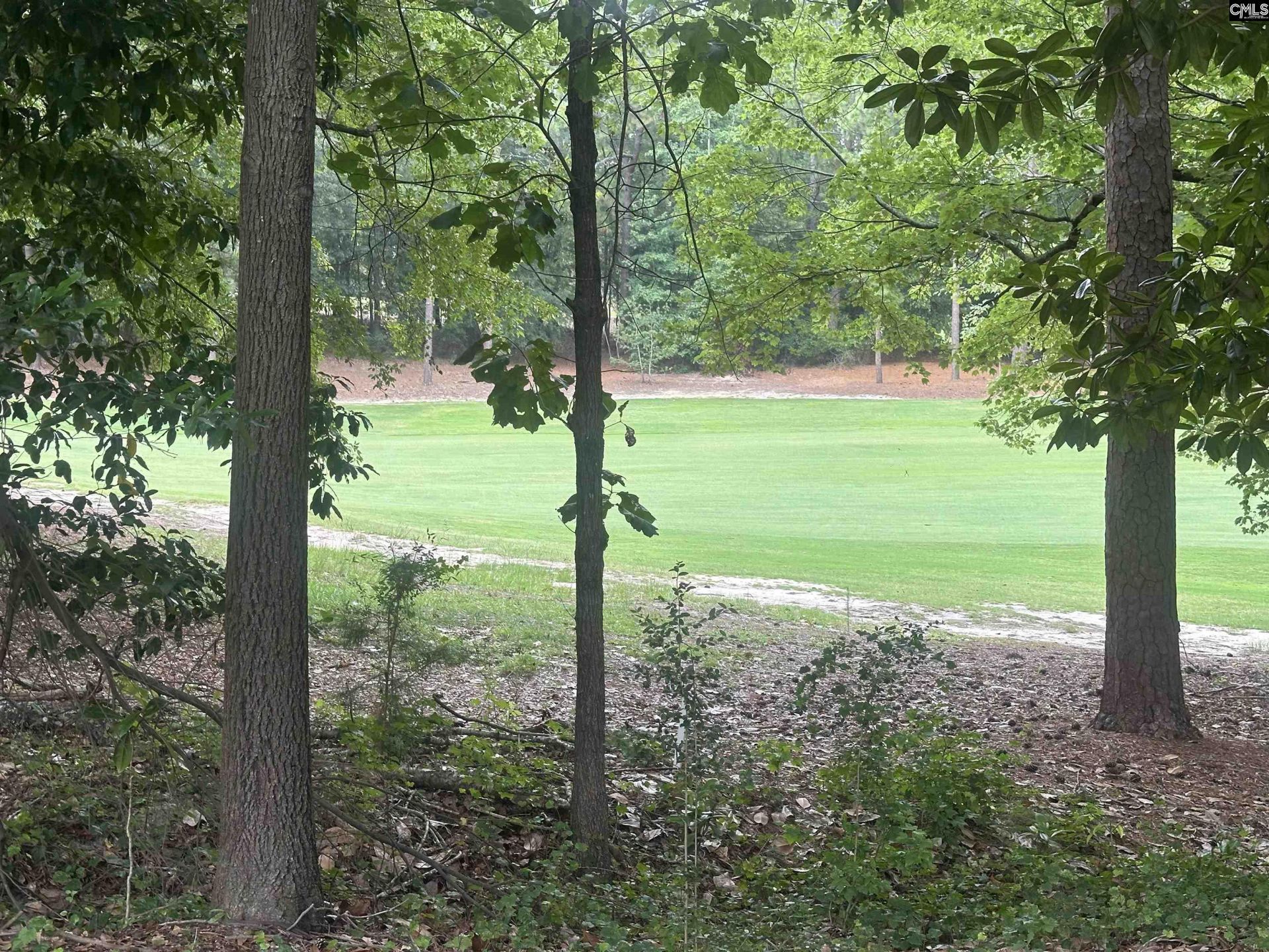 8 Pine Top Road  Photo 7