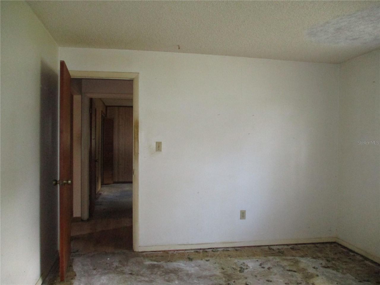 8751 NW 173rd Street , Fanning Springs, FL 32693 Photo