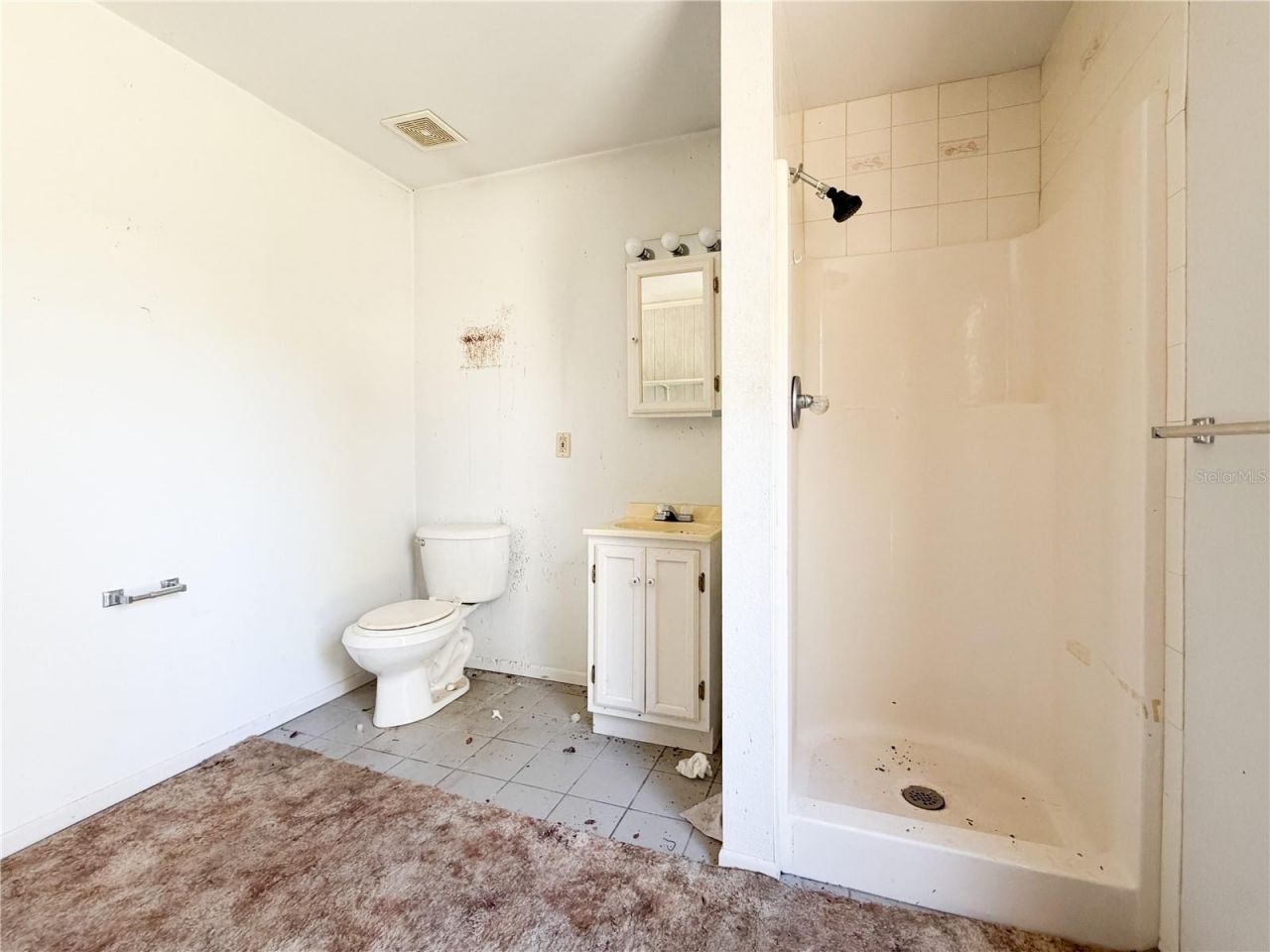 8751 NW 173rd Street , Fanning Springs, FL 32693 Photo