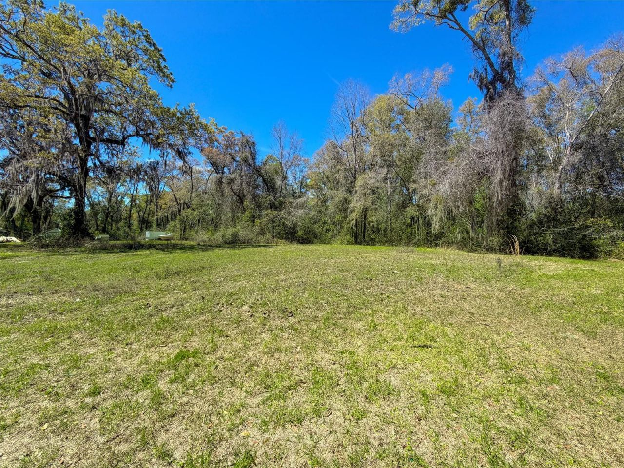 8751 NW 173rd Street , Fanning Springs, FL 32693 Photo