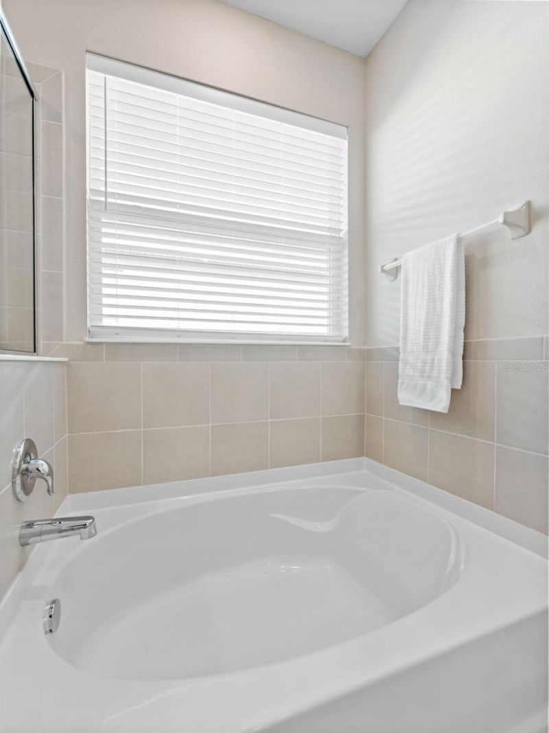 33700 Hamilton Hill Lane, Wesley Chapel, FL 33545 Photo