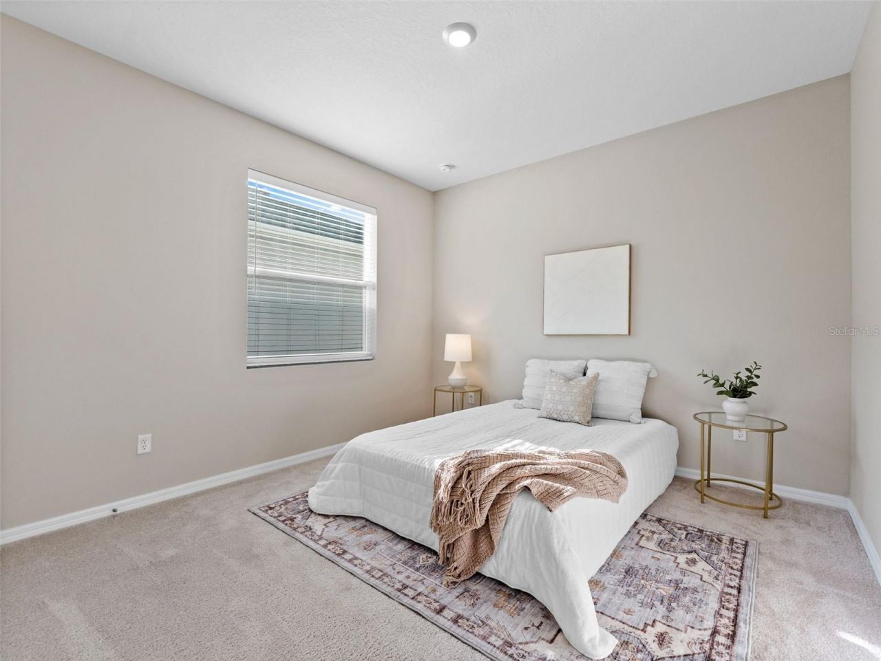 33700 Hamilton Hill Lane, Wesley Chapel, FL 33545 Photo