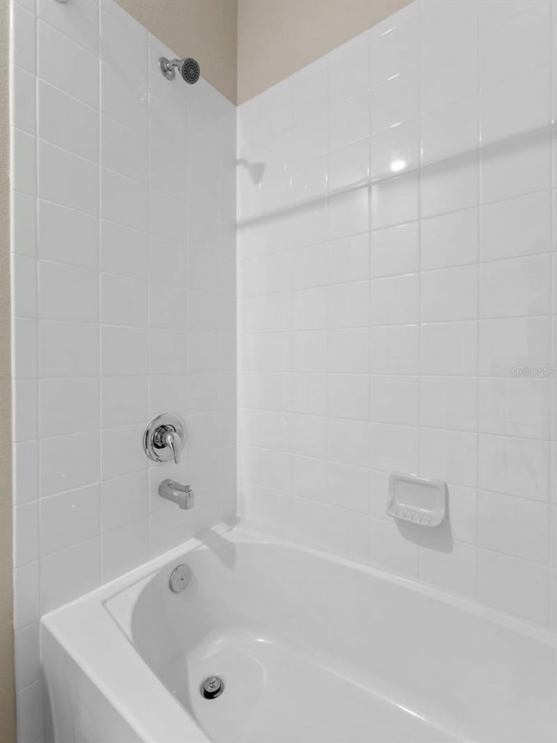 33700 Hamilton Hill Lane, Wesley Chapel, FL 33545 Photo
