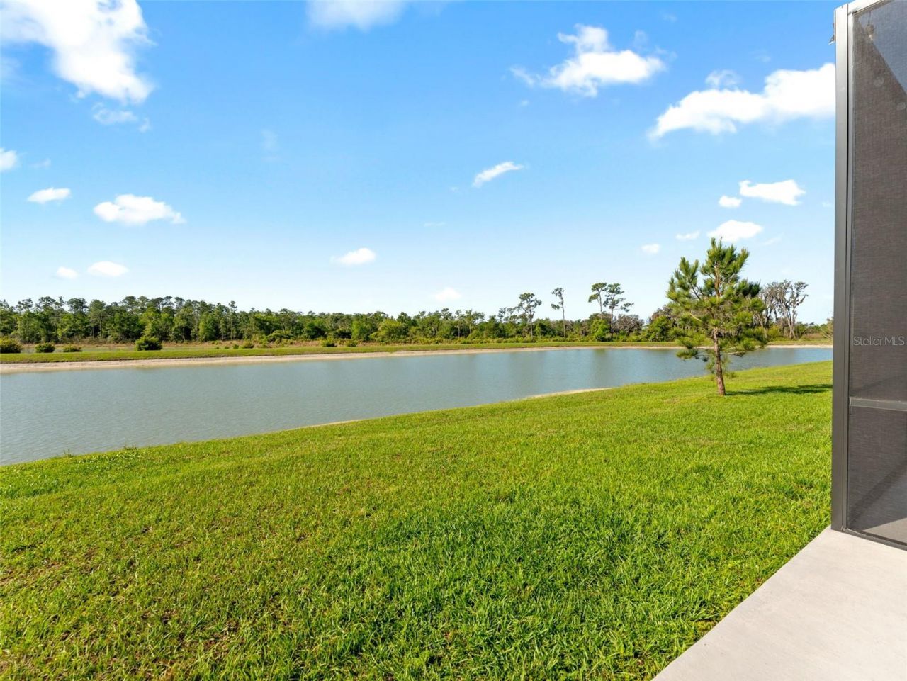 33700 Hamilton Hill Lane, Wesley Chapel, FL 33545 Photo