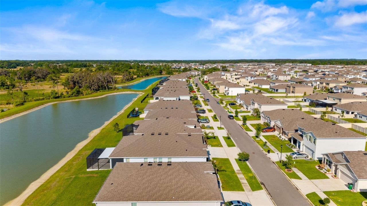 33700 Hamilton Hill Lane, Wesley Chapel, FL 33545 Photo