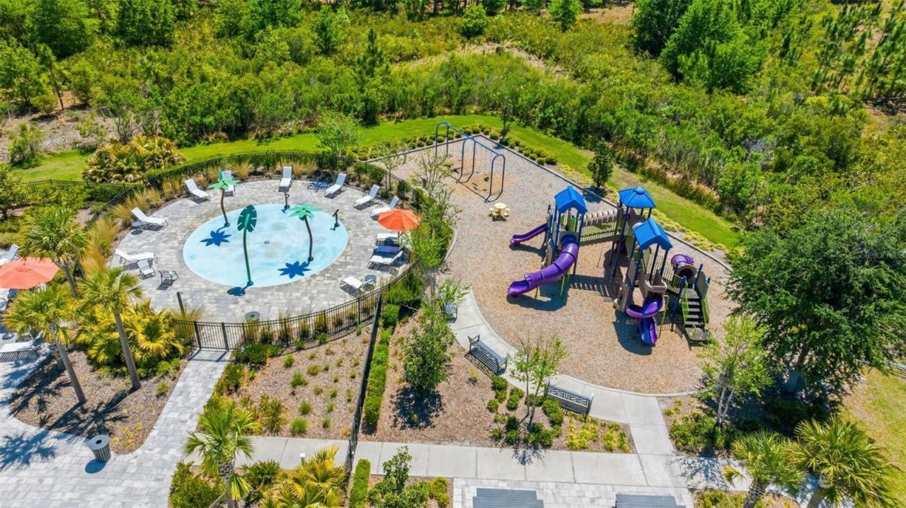 33700 Hamilton Hill Lane, Wesley Chapel, FL 33545 Photo