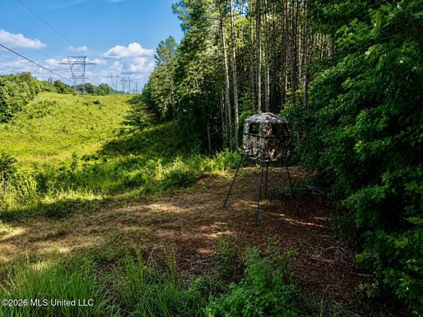 Mississippi 9, Blue Springs, MS 38828