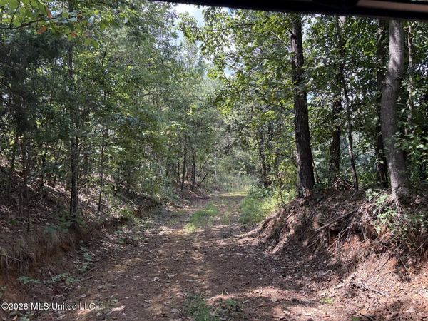 Mississippi 9, Blue Springs, MS 38828