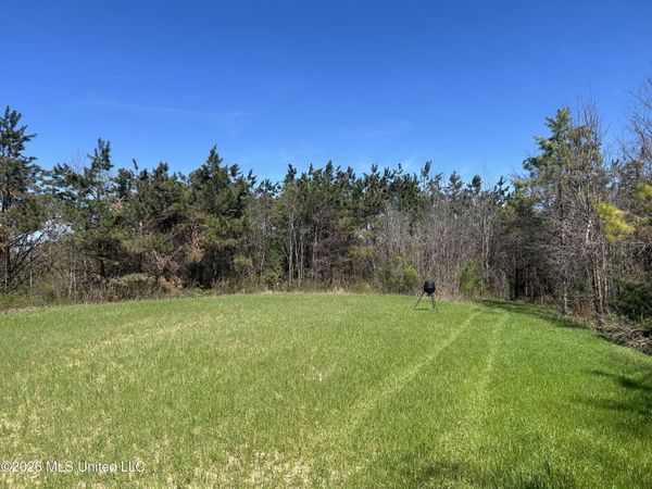 Mississippi 9 , Blue Springs, MS 38828