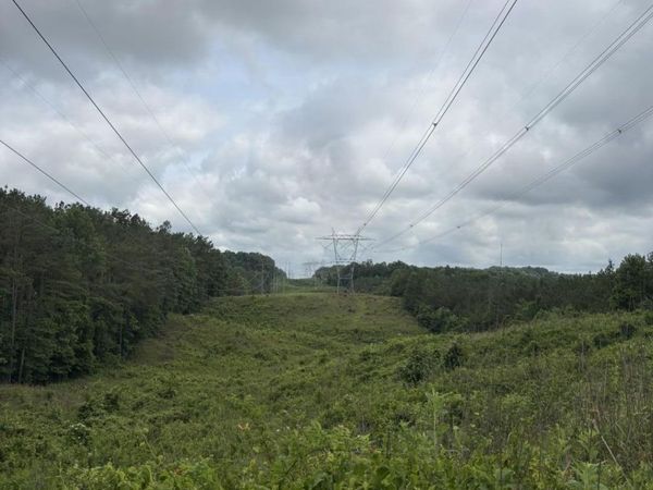 Mississippi 9, Blue Springs, MS 38828