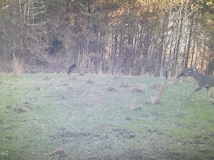 Property Image 66