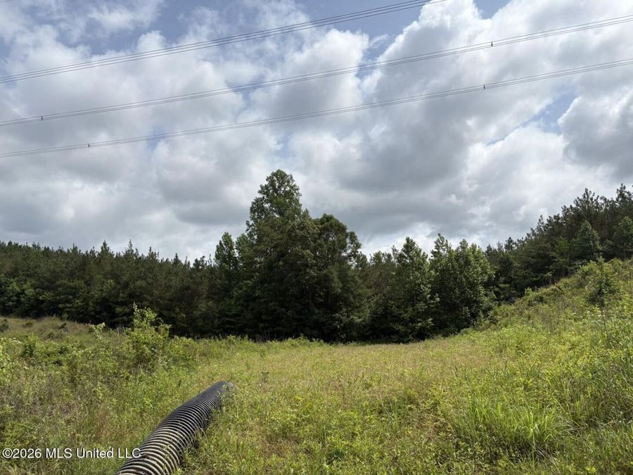 Property Image 91