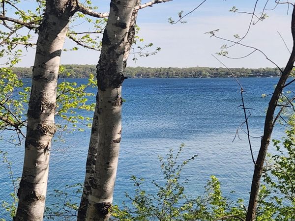 TBD Knollwood Lane, Pelican Rapids, MN 56572