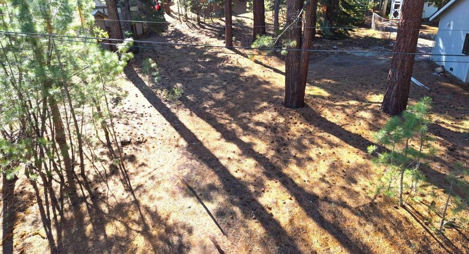 1662 Maiden Hair Ct, South Lake Tahoe, CA 96150 Photo