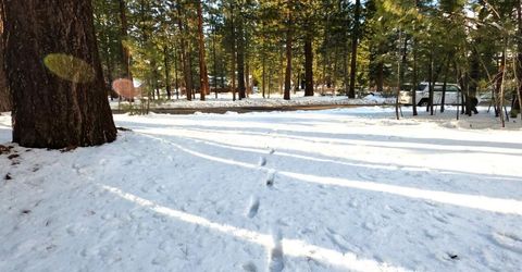 1662 Maiden Hair Ct, South Lake Tahoe, CA 96150 Photo