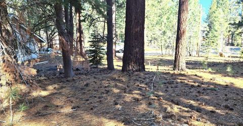 1662 Maiden Hair Ct, South Lake Tahoe, CA 96150 Photo