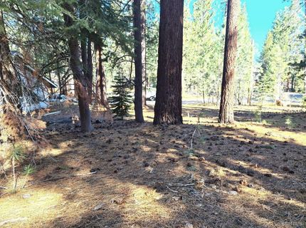 1662 Maiden Hair Ct, South Lake Tahoe, CA 96150 Photo