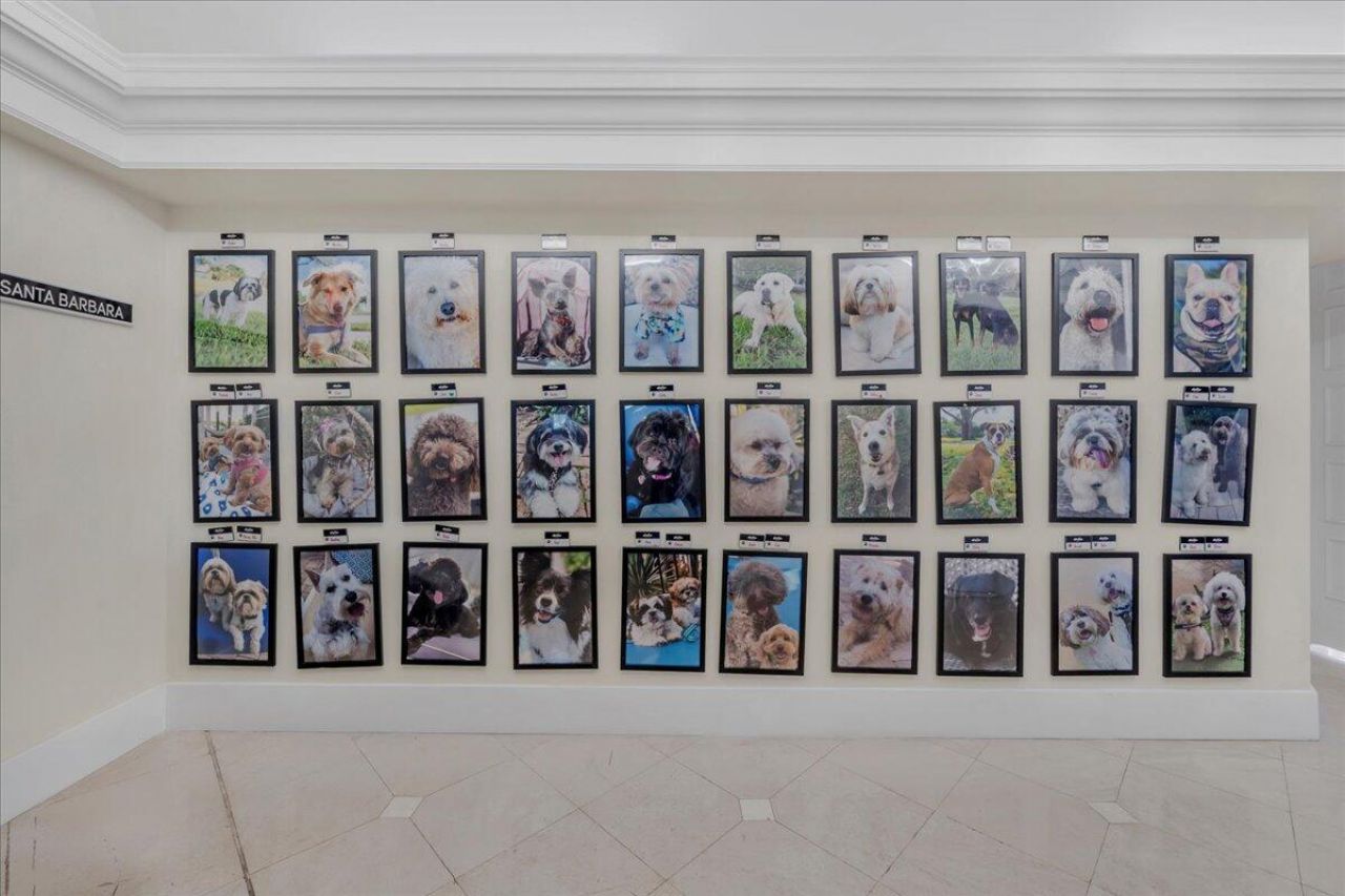 6240 NW 24th Street, Boca Raton, FL 33434 Photo