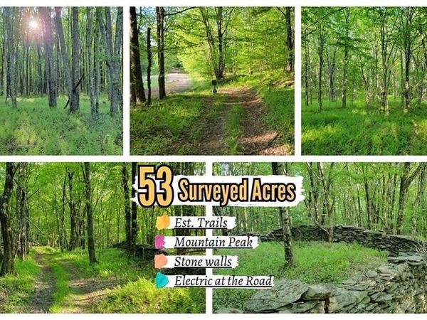 Jim Lane Road, Bovina Center, NY 13740