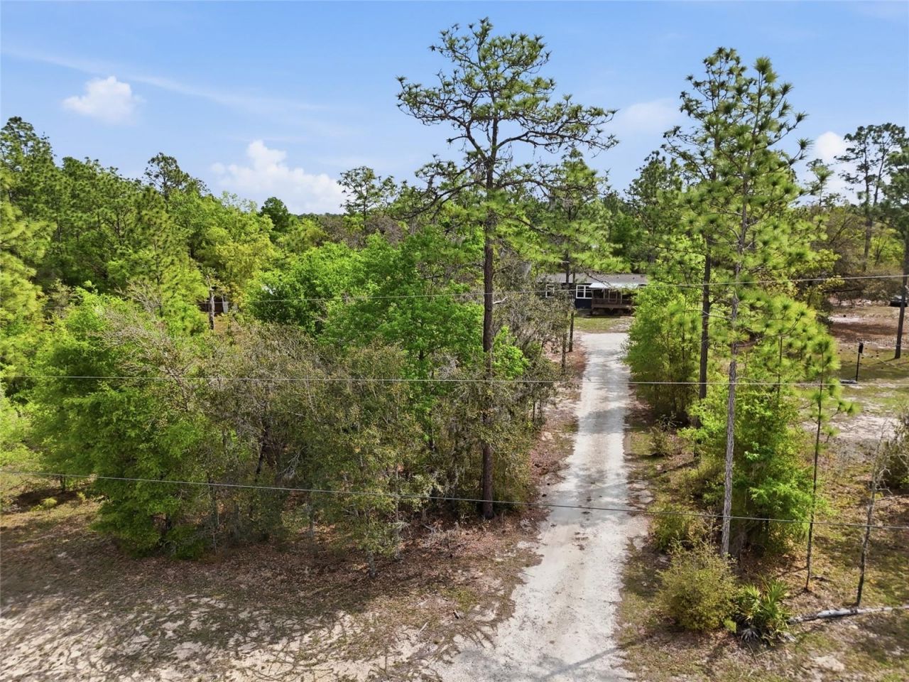 11731 NE 106th Court, Archer, FL 32618 Photo