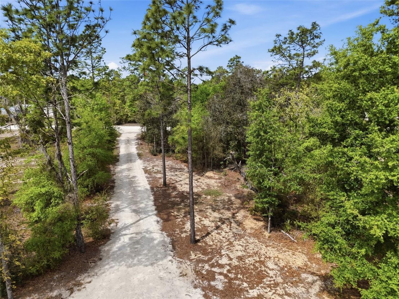 11731 NE 106th Court, Archer, FL 32618 Photo