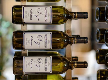 9509 Copper Sky Drive, Reno, NV 89521 Photo