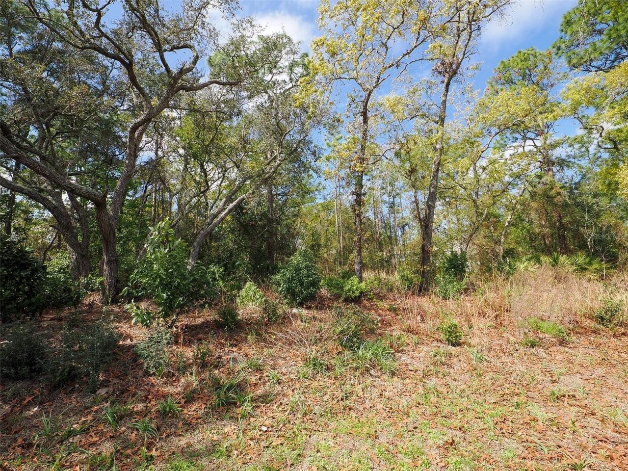 6 Colubrina Court , Homosassa, FL 34446 Photo