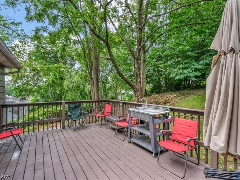 412 Stevenson Avenue, Akron, OH 44312 Photo 4