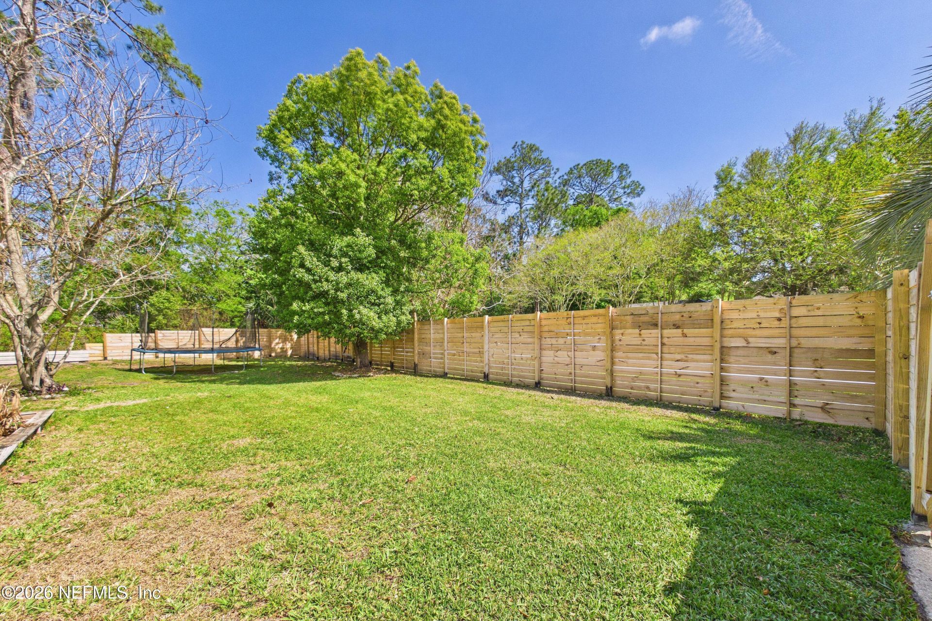 2487 Winged Elm Drive E, Jacksonville, FL 32246 Photo