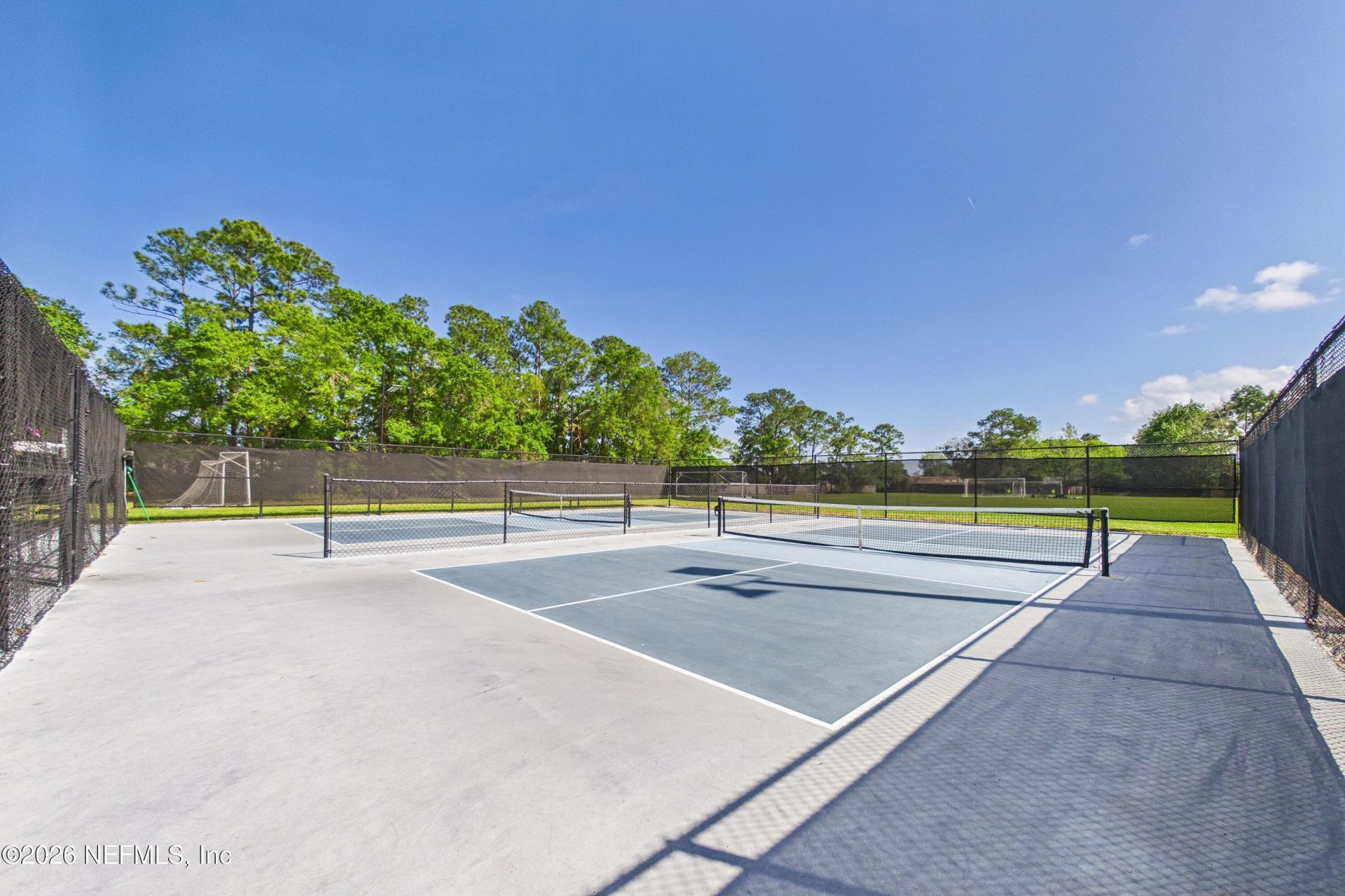 2487 Winged Elm Drive E, Jacksonville, FL 32246 Photo