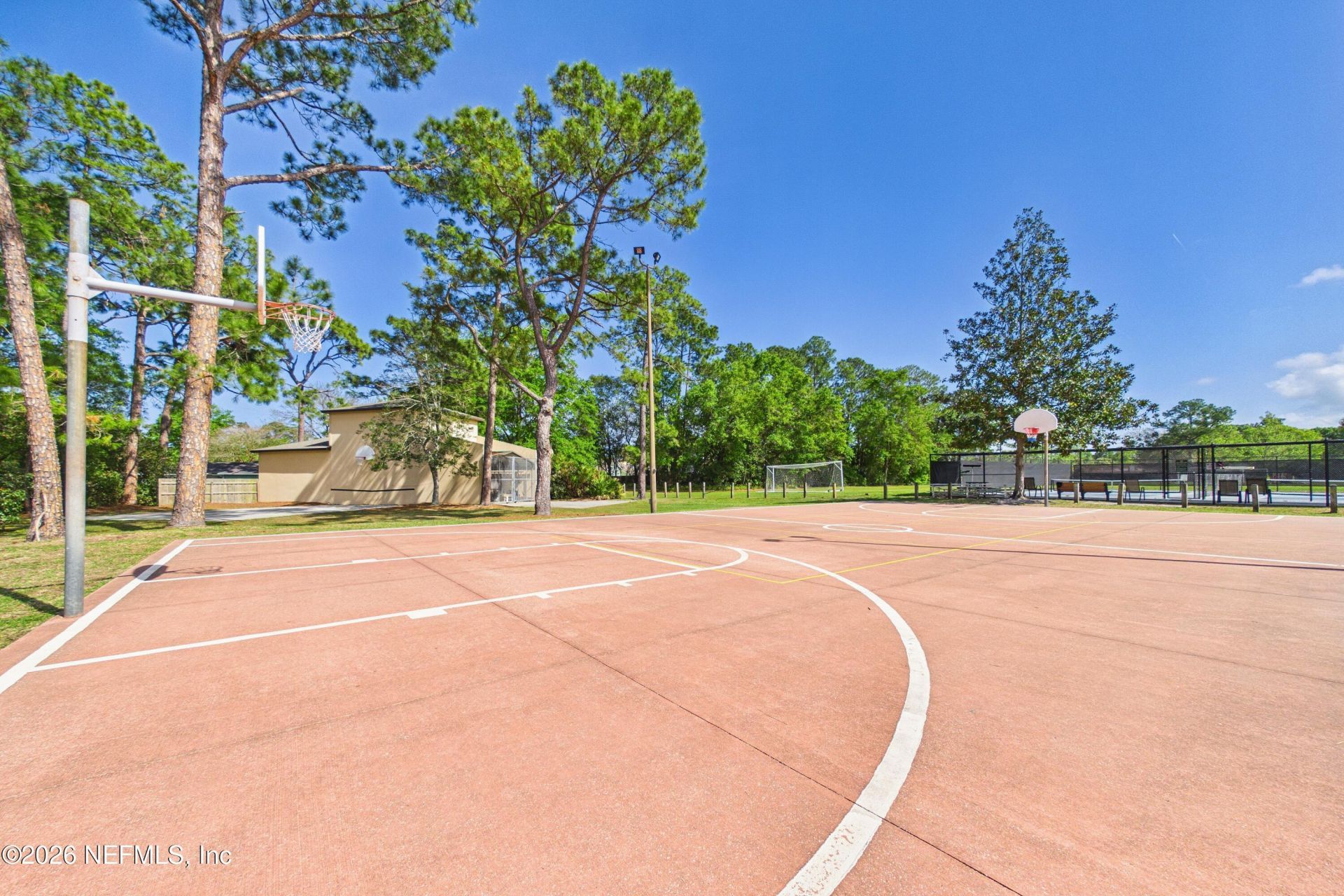 2487 Winged Elm Drive E, Jacksonville, FL 32246 Photo