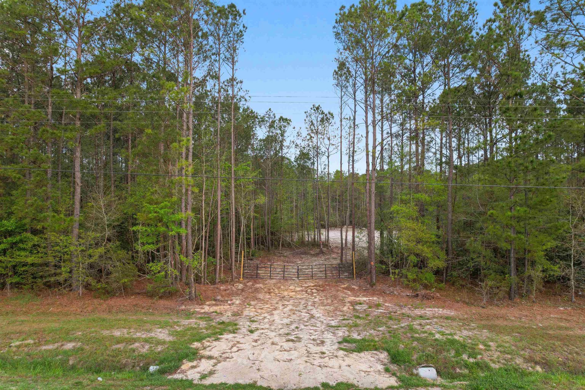 835 Indian Hut Rd. Photo 2