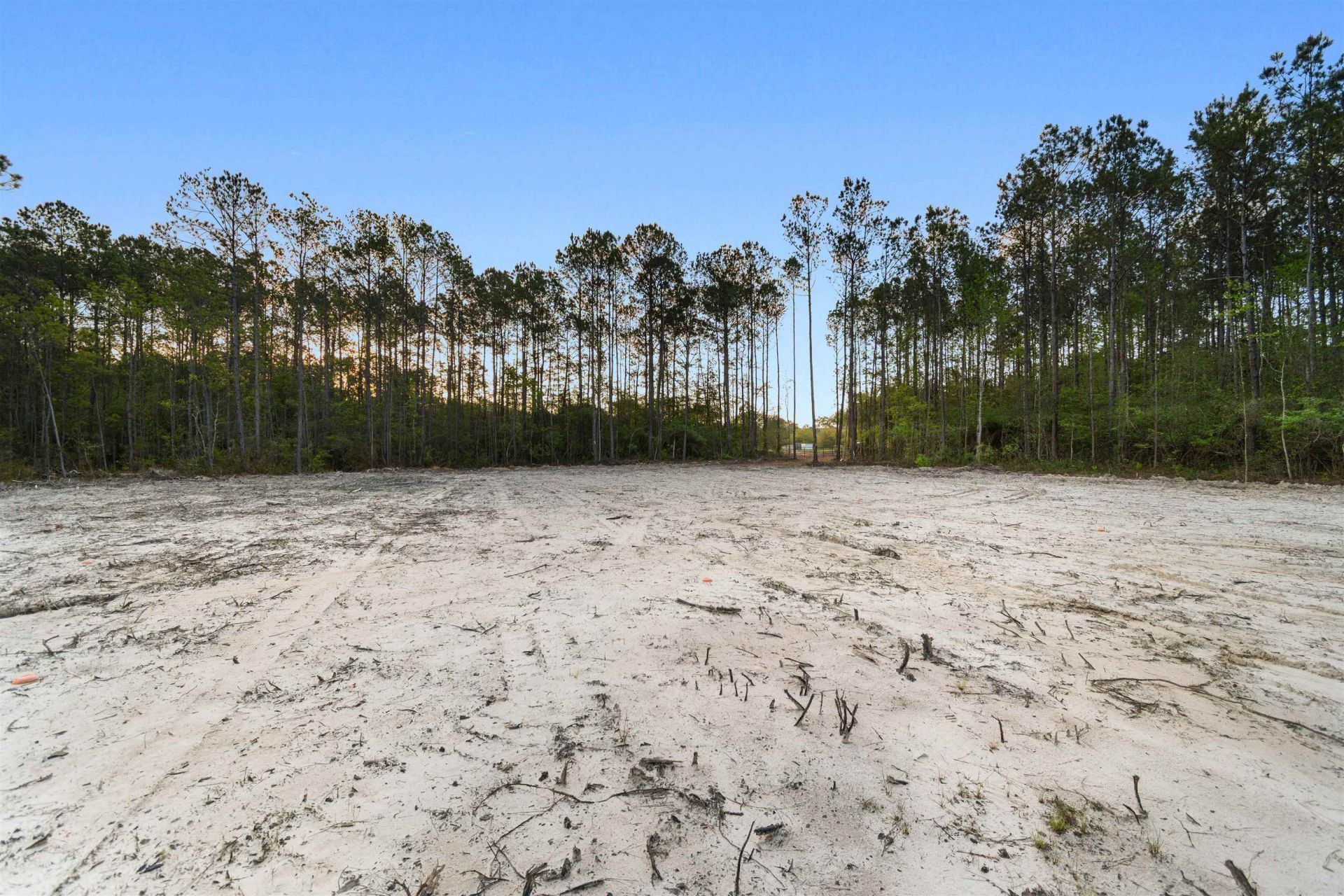 835 Indian Hut Rd. Photo 4