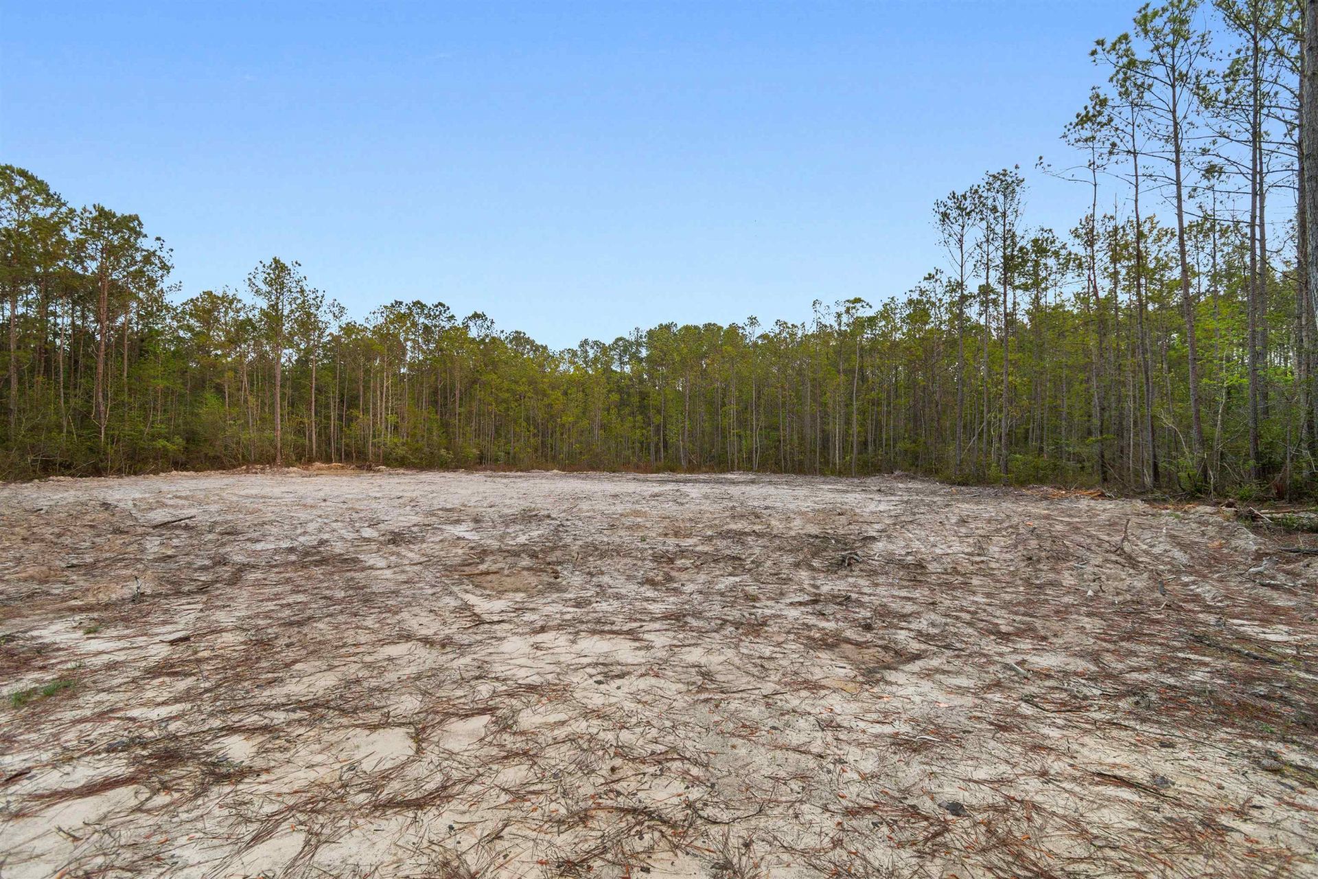 835 Indian Hut Rd. Photo 5