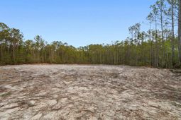 835 Indian Hut Rd. photo 4