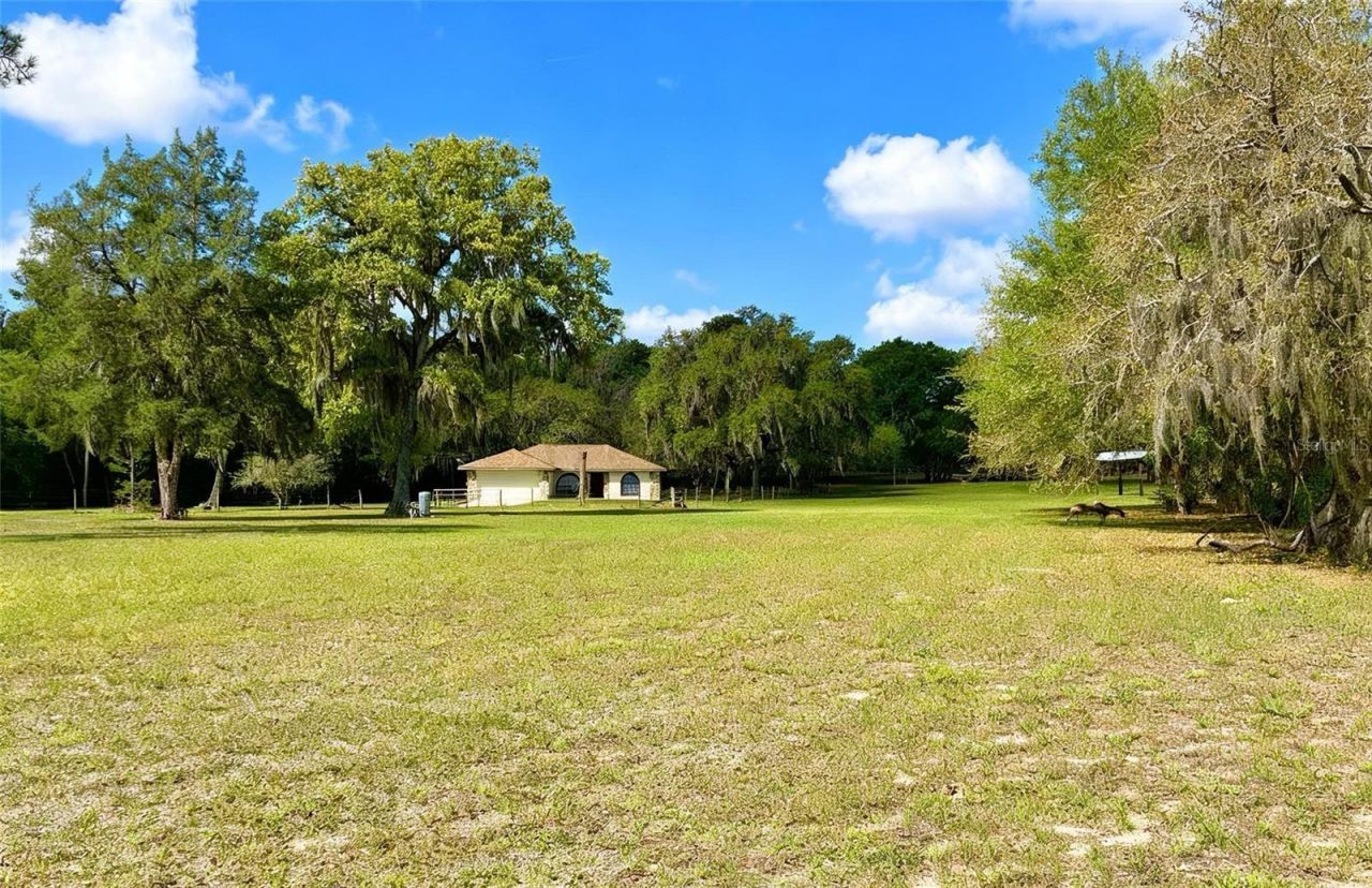 7478 Cr 663, Bushnell, FL 33513 Photo
