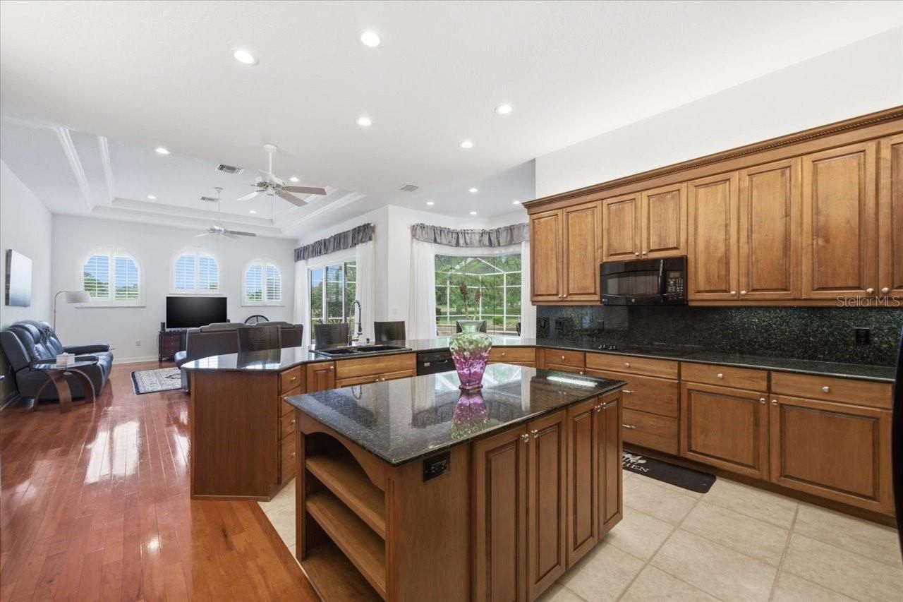 5021 Championship Cup Lane , Spring Hill, FL 34609 Photo