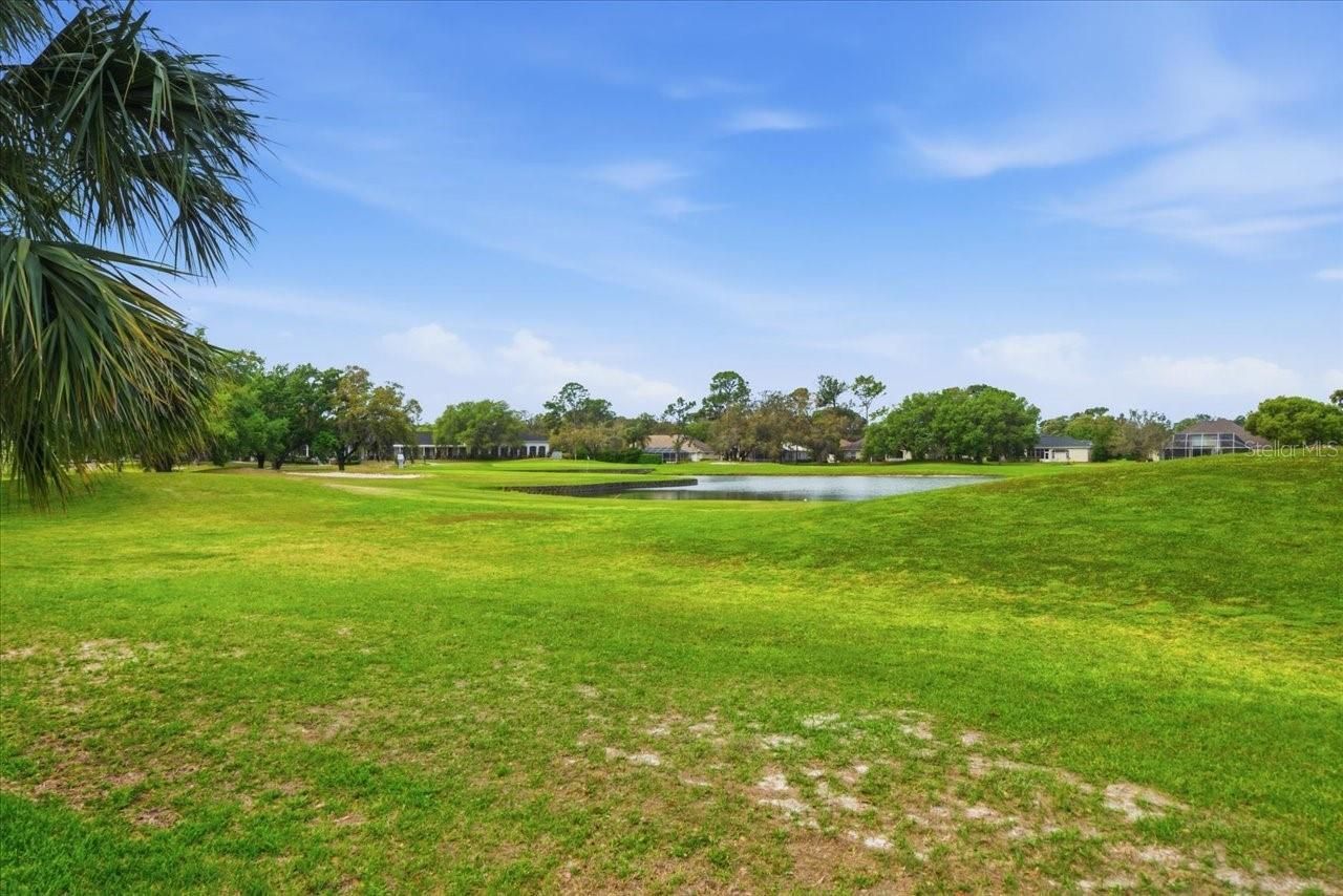 5021 Championship Cup Lane , Spring Hill, FL 34609 Photo