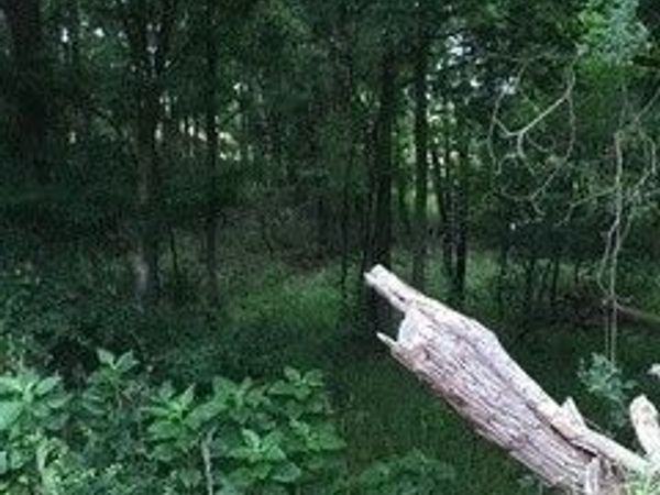 920 Mills Way , Seguin, TX 78155