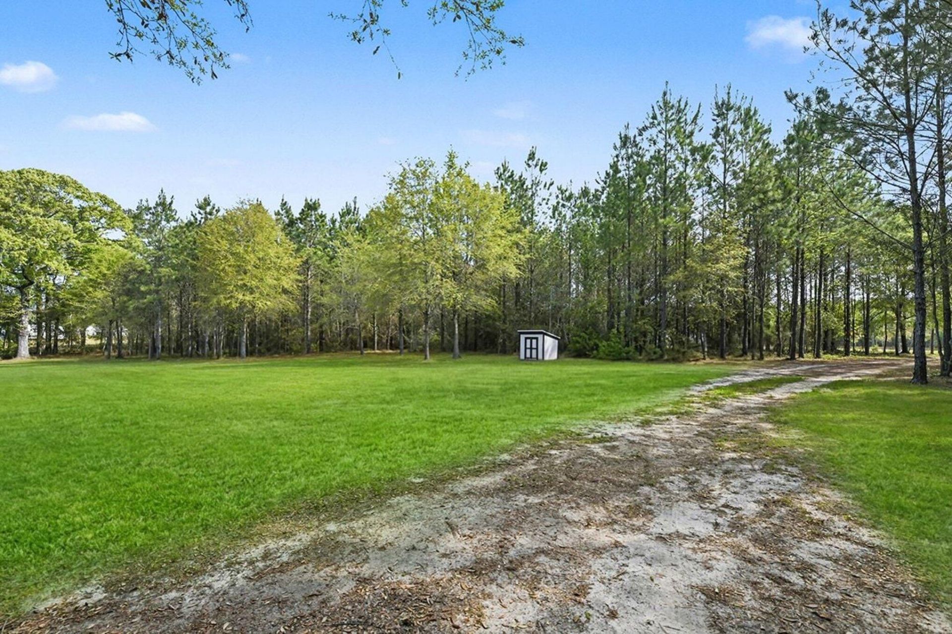 132 Oak Estates Way Photo 10