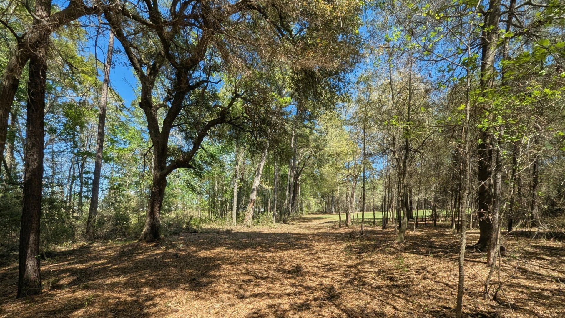 132 Oak Estates Way Photo 16