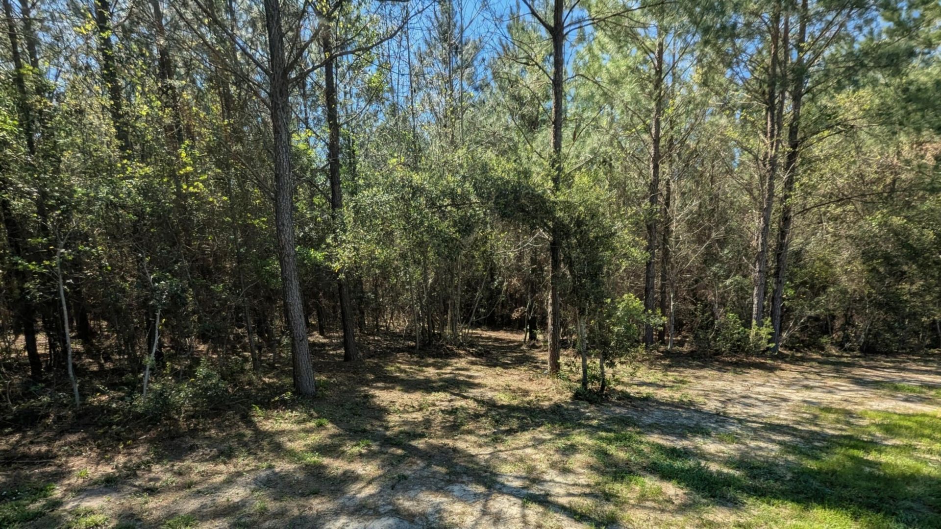 132 Oak Estates Way Photo 18