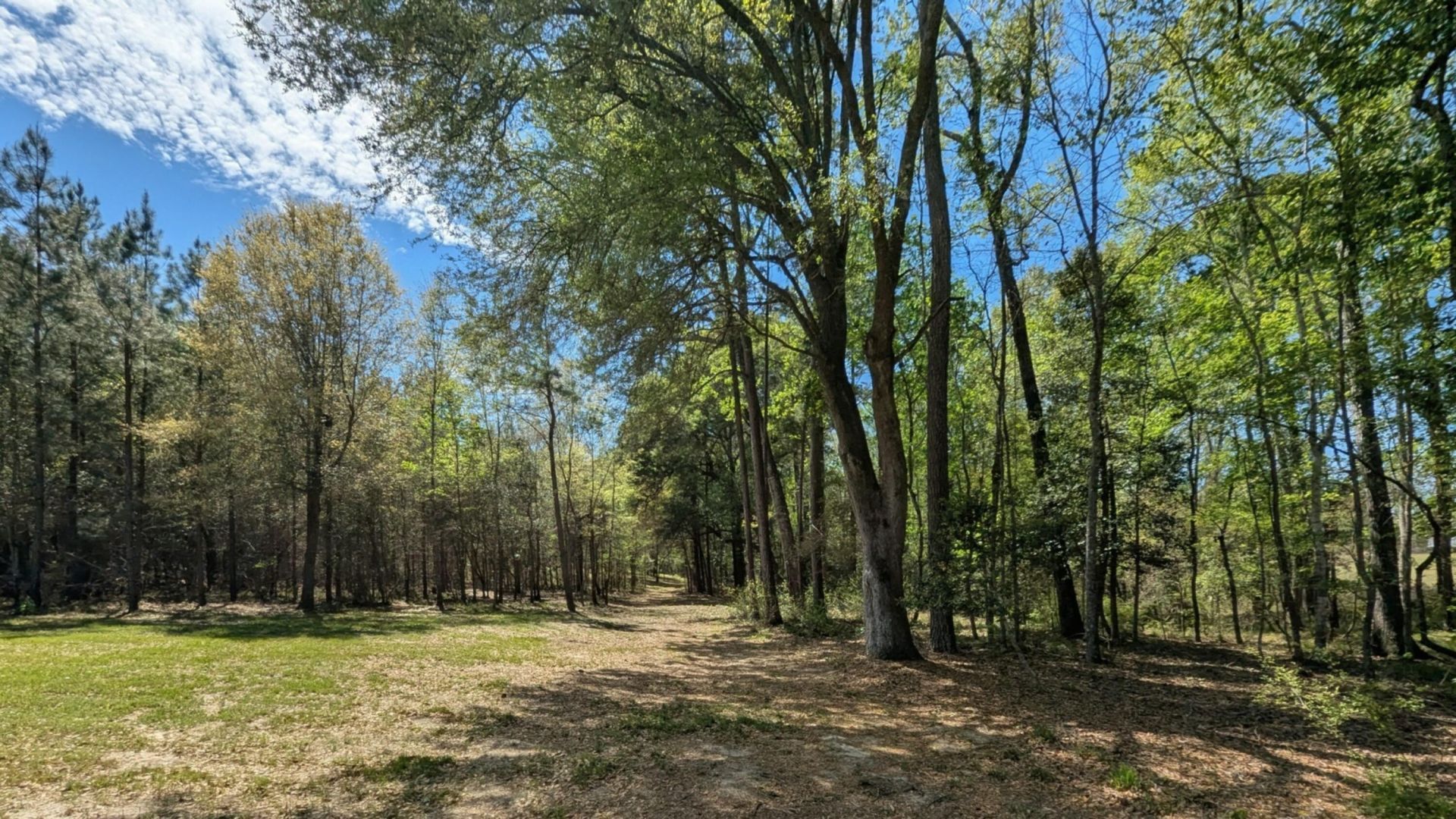 132 Oak Estates Way Photo 19