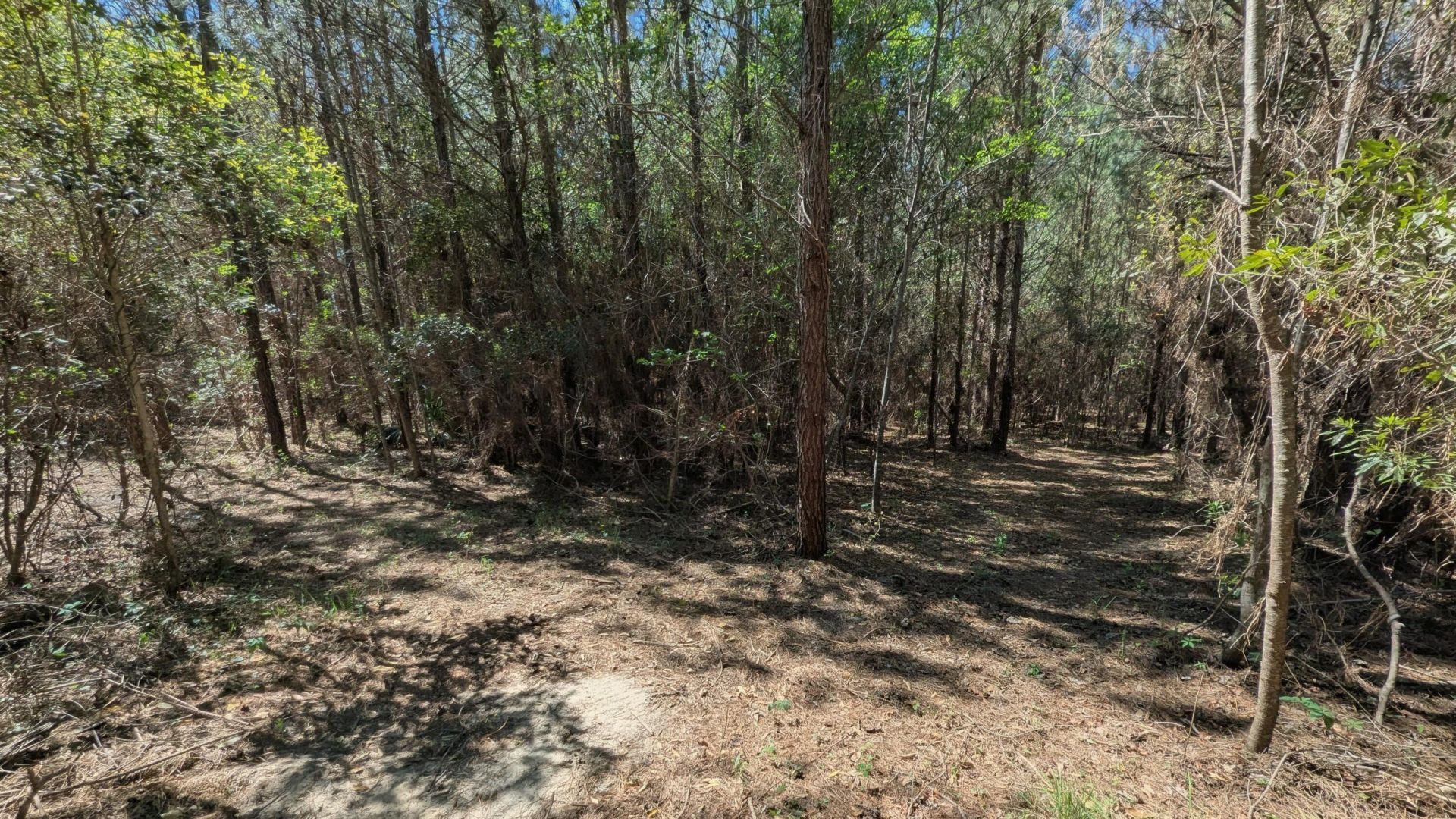 132 Oak Estates Way Photo 21