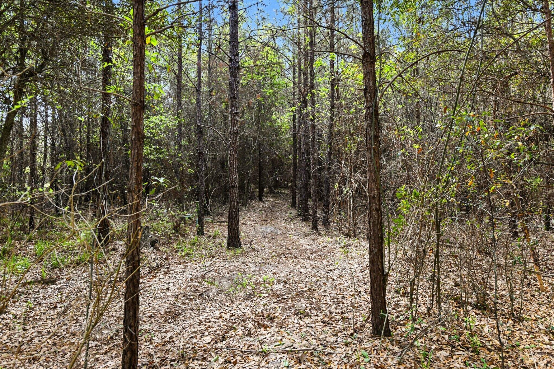 132 Oak Estates Way Photo 22