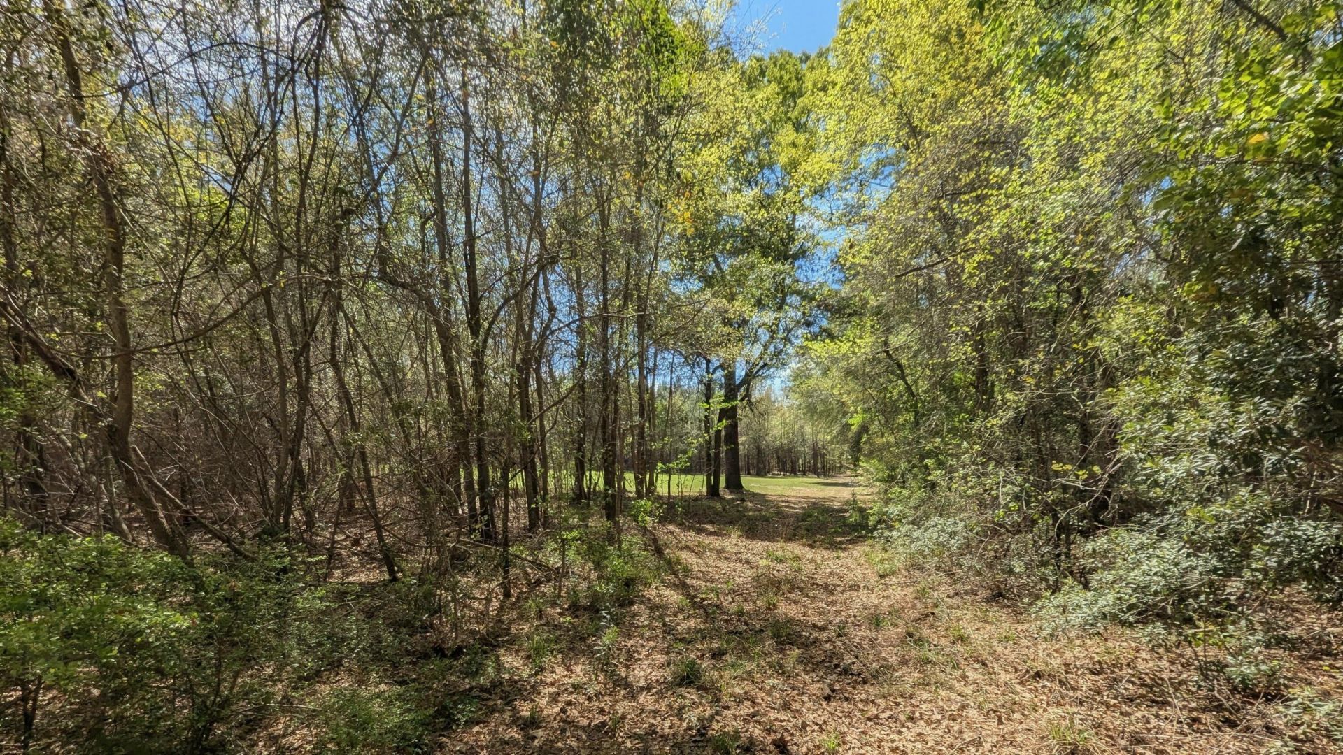 132 Oak Estates Way Photo 23