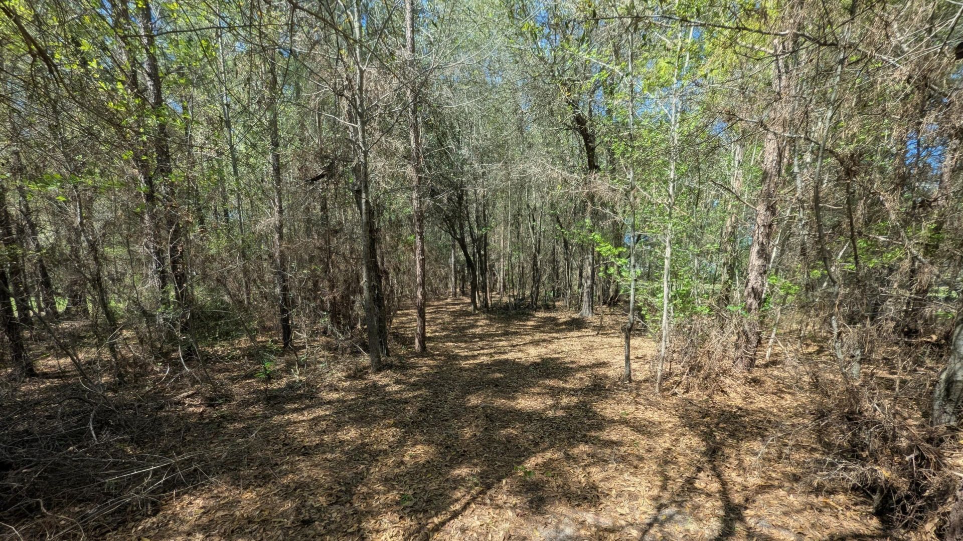 132 Oak Estates Way Photo 24